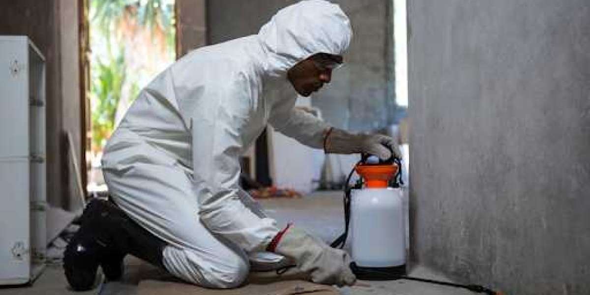 Safe & Fast Hornet Removal Services in Naperville, IL