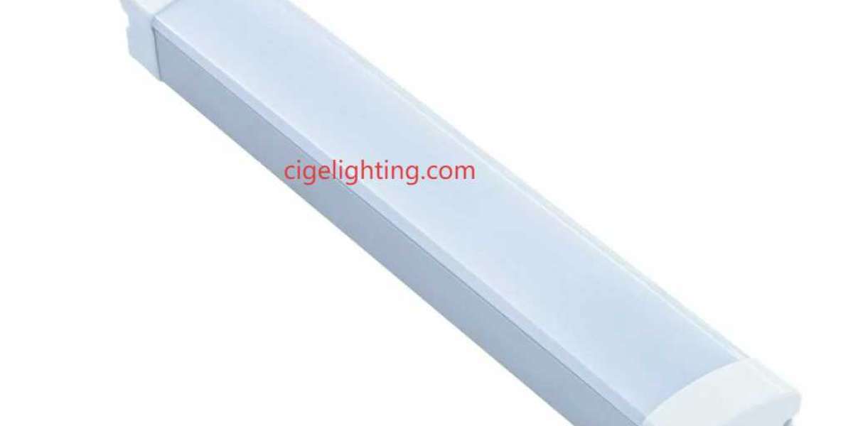 Builder-Centric Innovation at Cigelighting’s Waterproof Factory