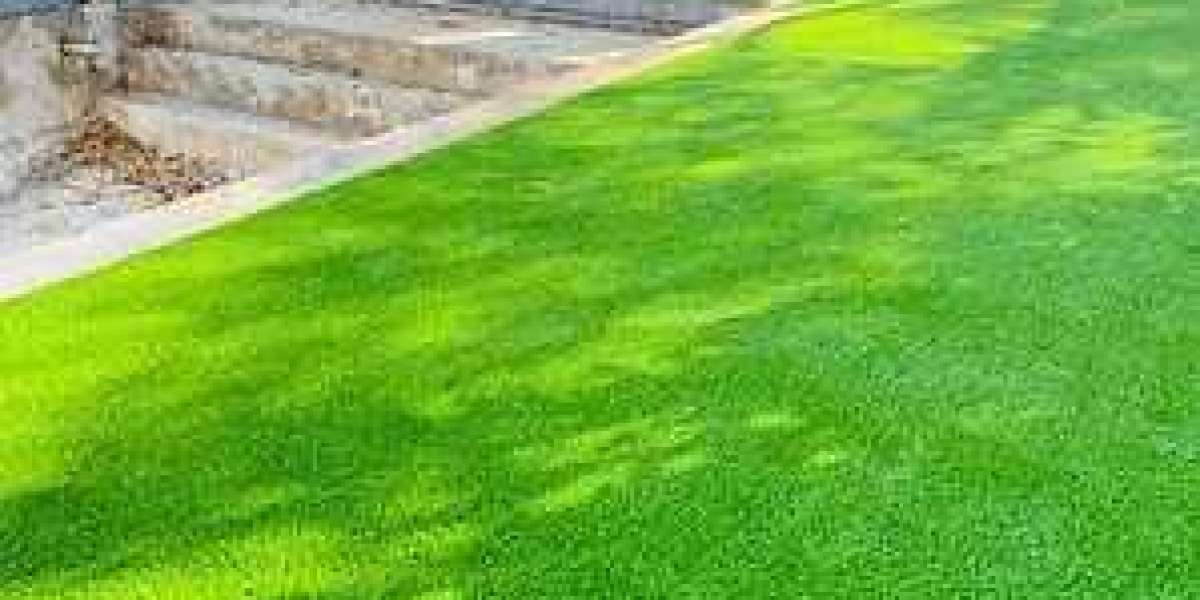 Soft and Durable Synthetic Turf for Dogs