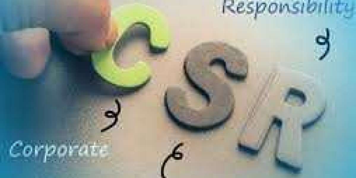 Ensuring Transparency and Accountability through CSR Financial Audit