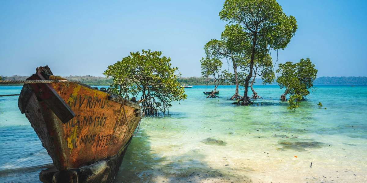 Family holiday packages to the Andaman Islands that cover hotels, flights, and activities