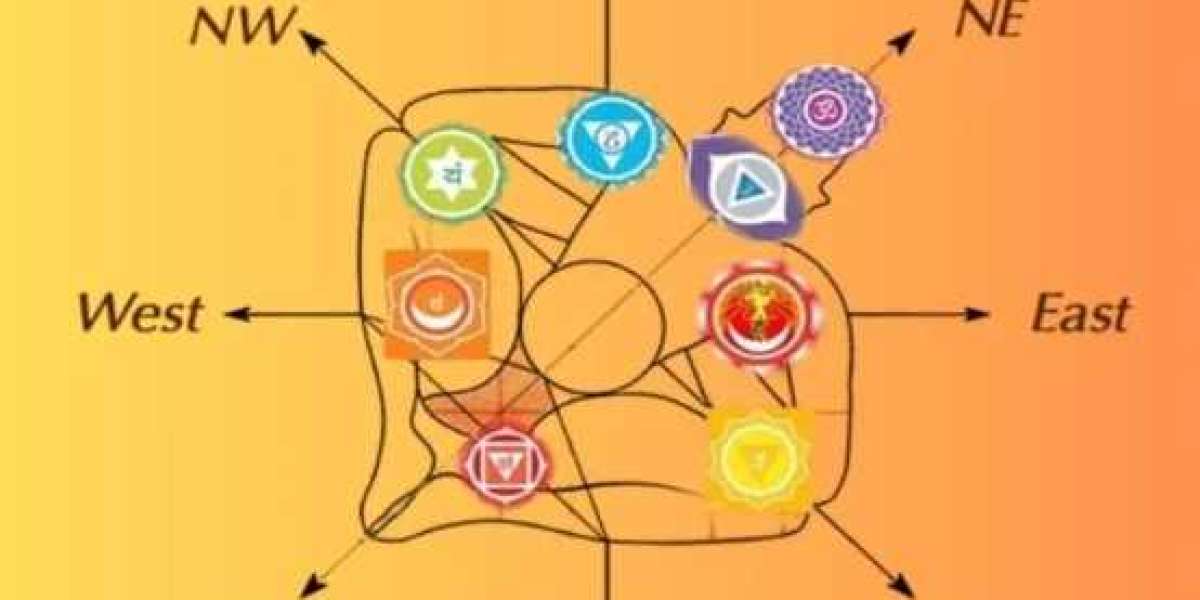 How to Find the Best Astrologer in Whitefield Bangalore