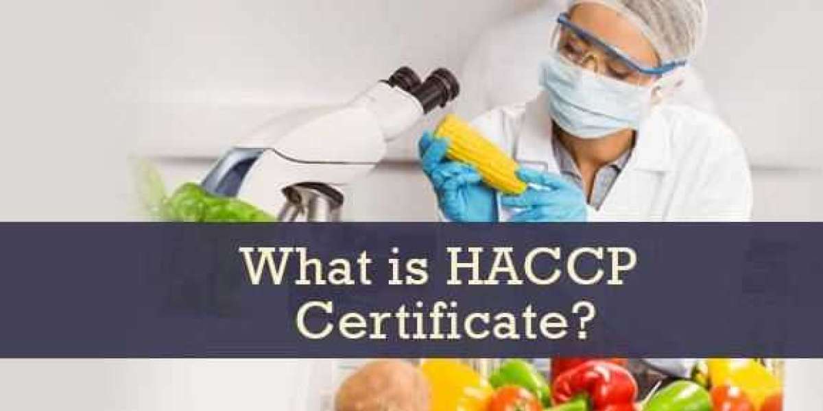 Breakdown of HACCP Certification Costs in KSA