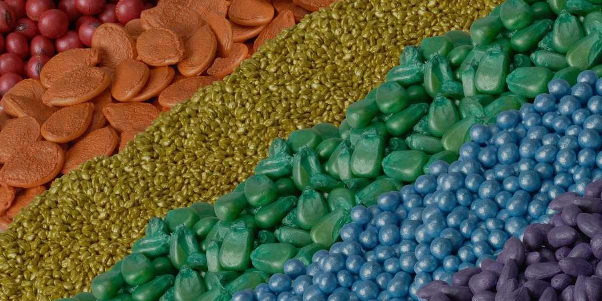 Biological Seed Treatment Market 2031: Dynamics, Outlook, and Trends