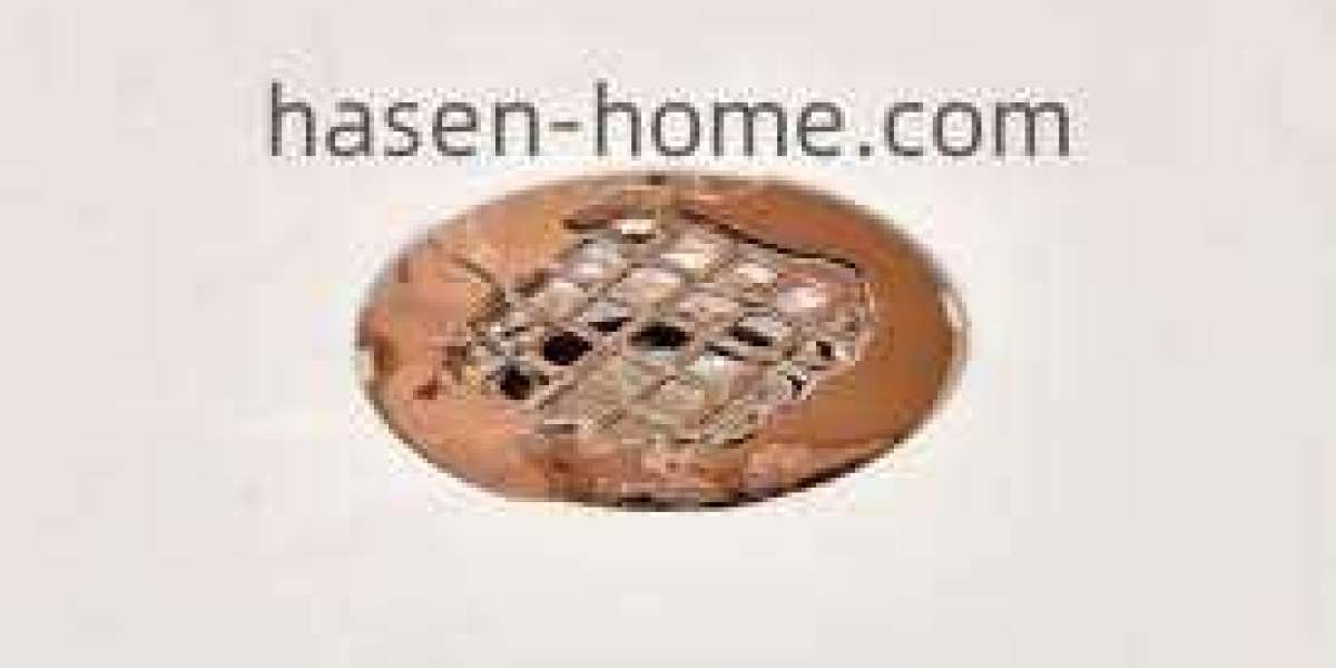 What Makes Hasen-home Linear Shower Drain China Stylish and Practical?