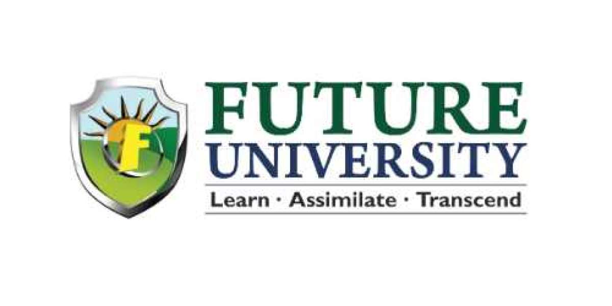 Best private engineering colleges in Bareilly Uttar Pradesh - Future University