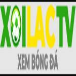agil8.com thao túng kết quả tìm kiếm