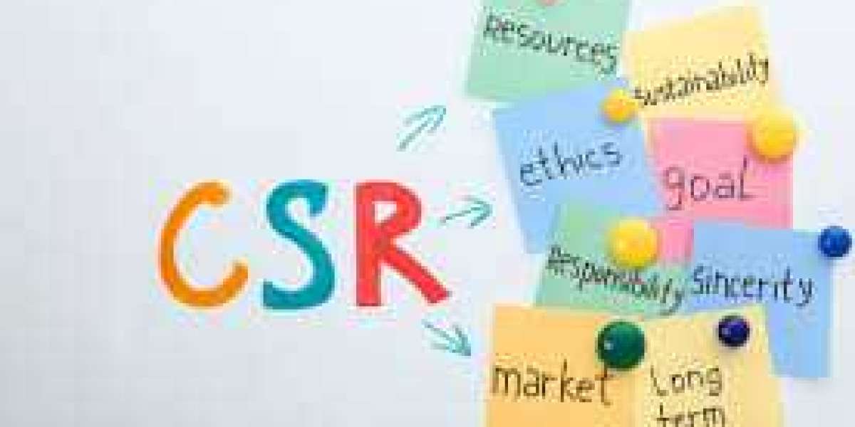 Why Hiring a CSR Consultant in Ghaziabad is Essential for Your Company’s Social Impact