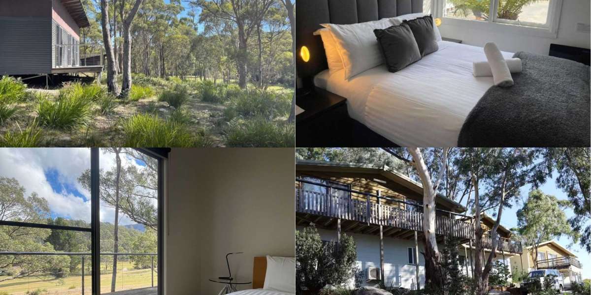 Bay of Fires Tours: Unmissable Wild Tasmania Adventures Await