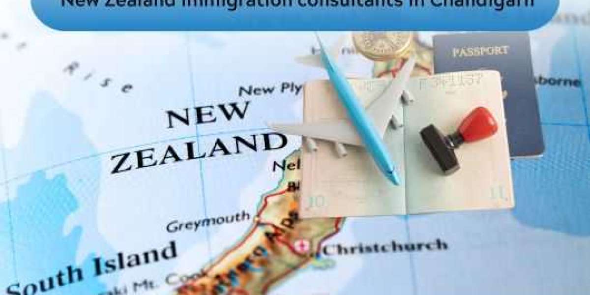 Want to Move to New Zealand from Chandigarh? Here’s the Easiest Way to Start