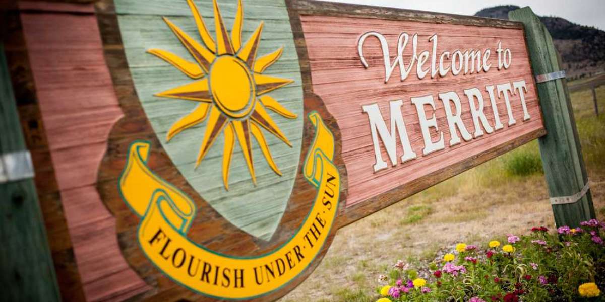 The Real Reason You Shouldn’t Delay Your Visit to a Merritt Dentist – What Most People Don’t Realize Until It’s Too Late