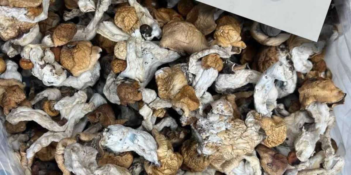 how to utilize magic mushroom for depression