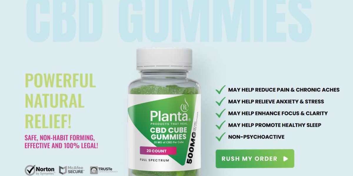 Planta RX CBD Gummies 500mg - Ease Nerve Pain & Calm Your Mind Naturally
