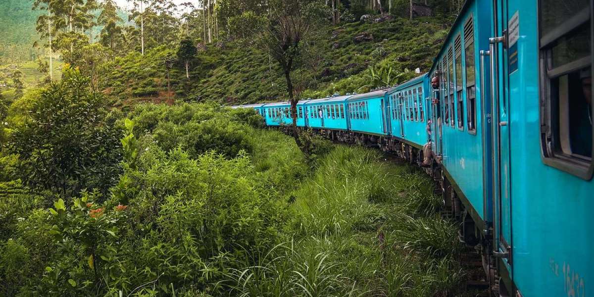 Sri Lanka Uncovered: A Journey Through Culture and Nature