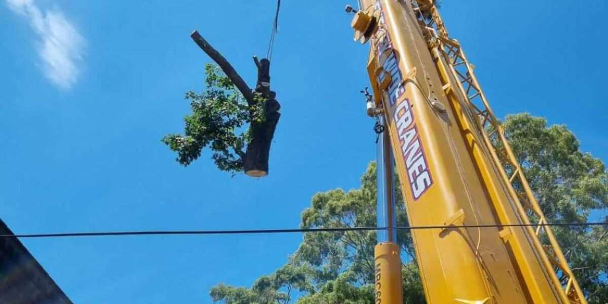 Leading Crane Tower Specialists Serving North Shore Industrial Sites