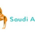 mysaudi tours