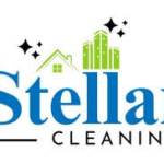 Stellar Cleaning