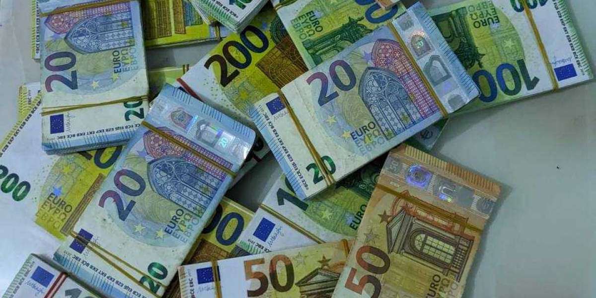 Methods of detecting counterfeit euro in France