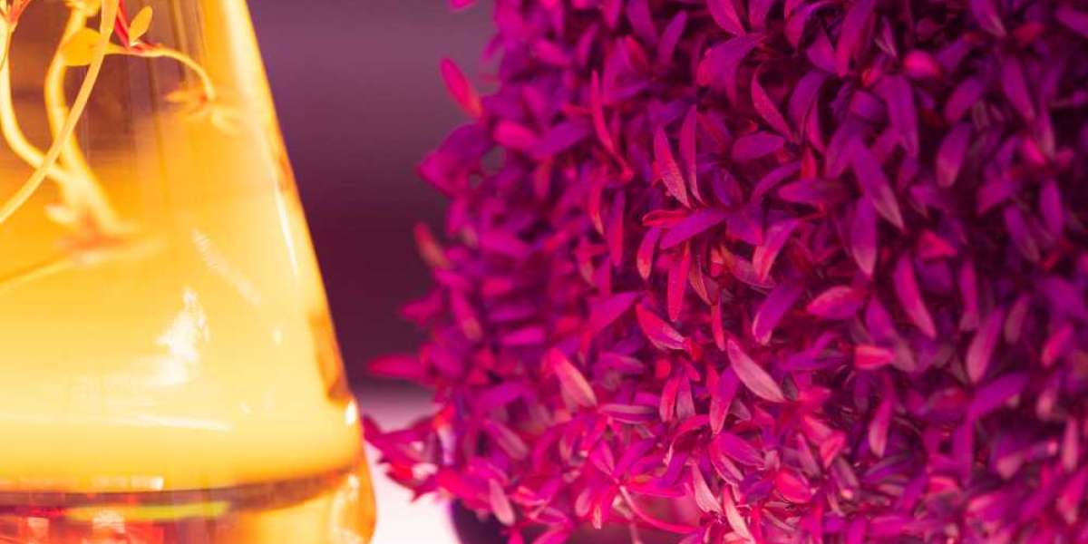 Exploring the Future of Aroma Chemicals Market: Opportunities & Challenges