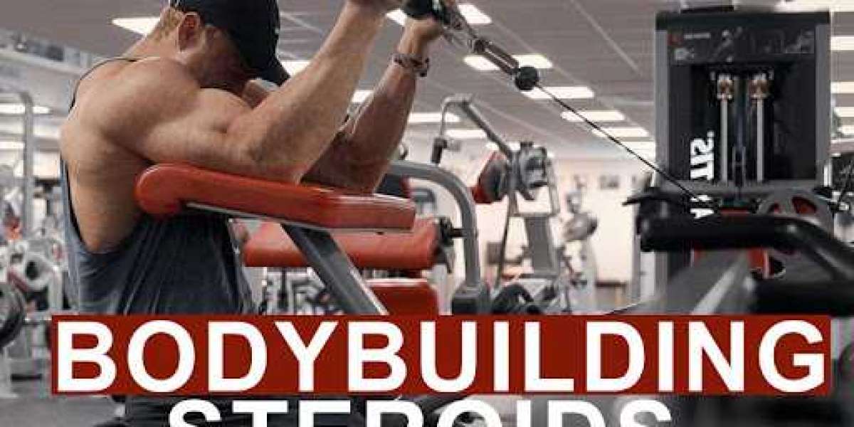 The 7 Best Legal Steroids for Bulking and Cutting