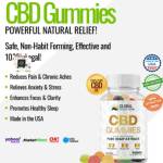 GlobalHealthCBD Gummies