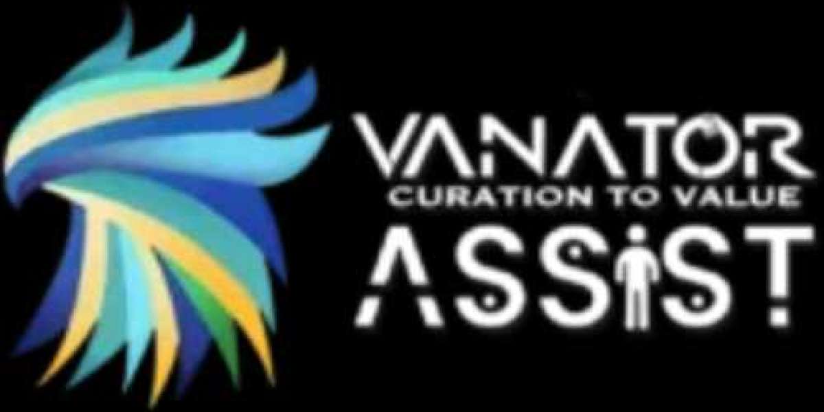 Vanator Assist: Scaling Brands with Digital Marketing in 2025