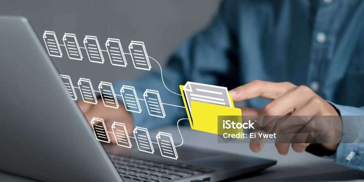 The Rise of NAS: Market Analysis for Secure and Scalable Storage Solutions