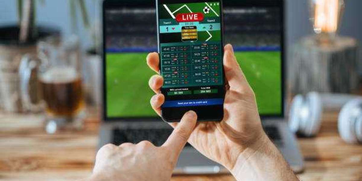 Best Sportsbook Software: What Every Bookie Needs to Know