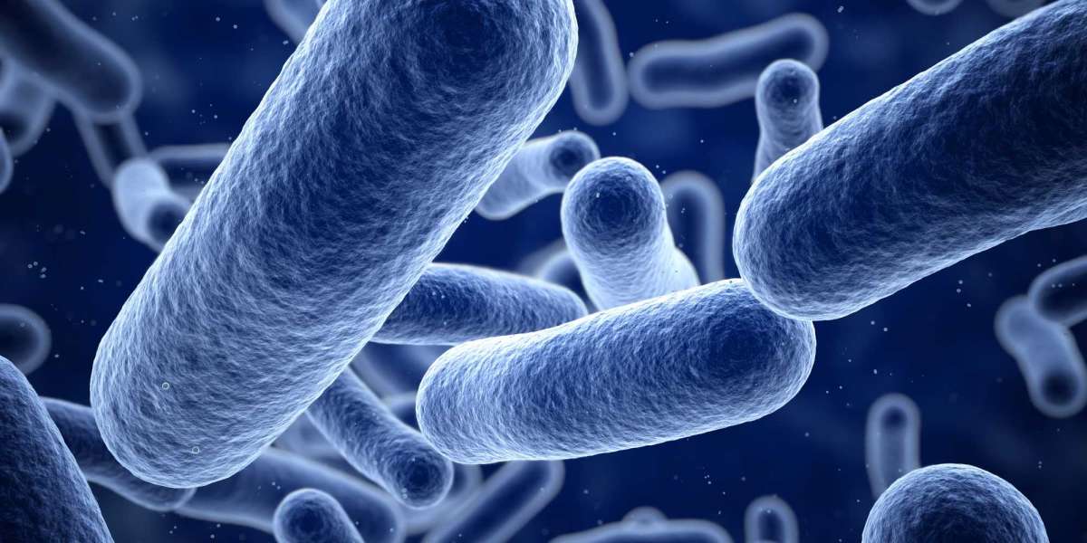 What Are the Best Treatments for Bacterial Infections?