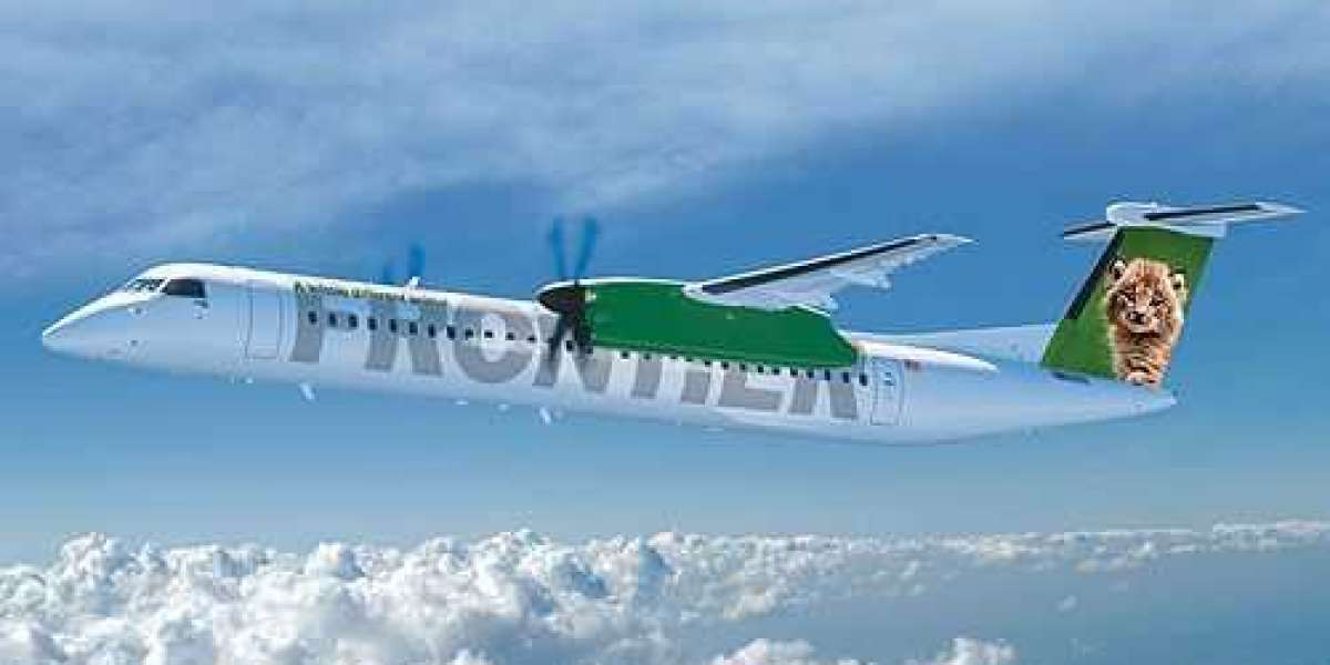How Do I Check In on Frontier Airlines?