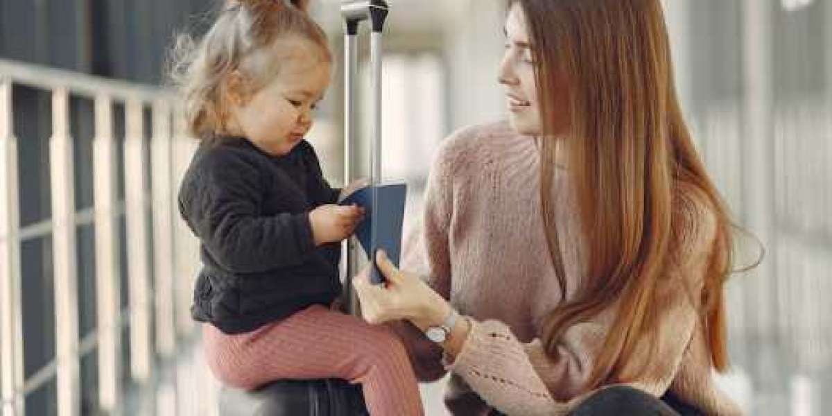 Safe & Reliable Dog Transportation by Air – We Treat Pets Like Family