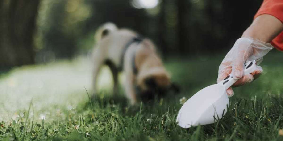 Dallas Pooper Scooper Service | Hooper Pooper Scooper – Trusted Dog Waste Cleanup
