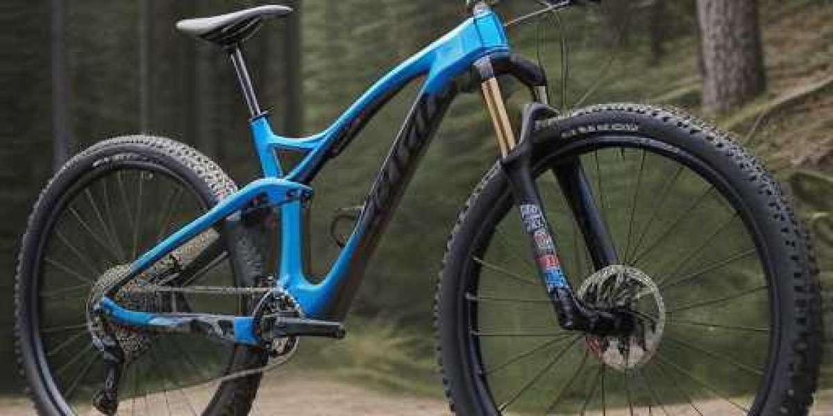 The Amazing Giant Cycles