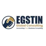Egstin Consultant