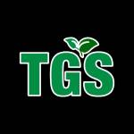 TJ Golino