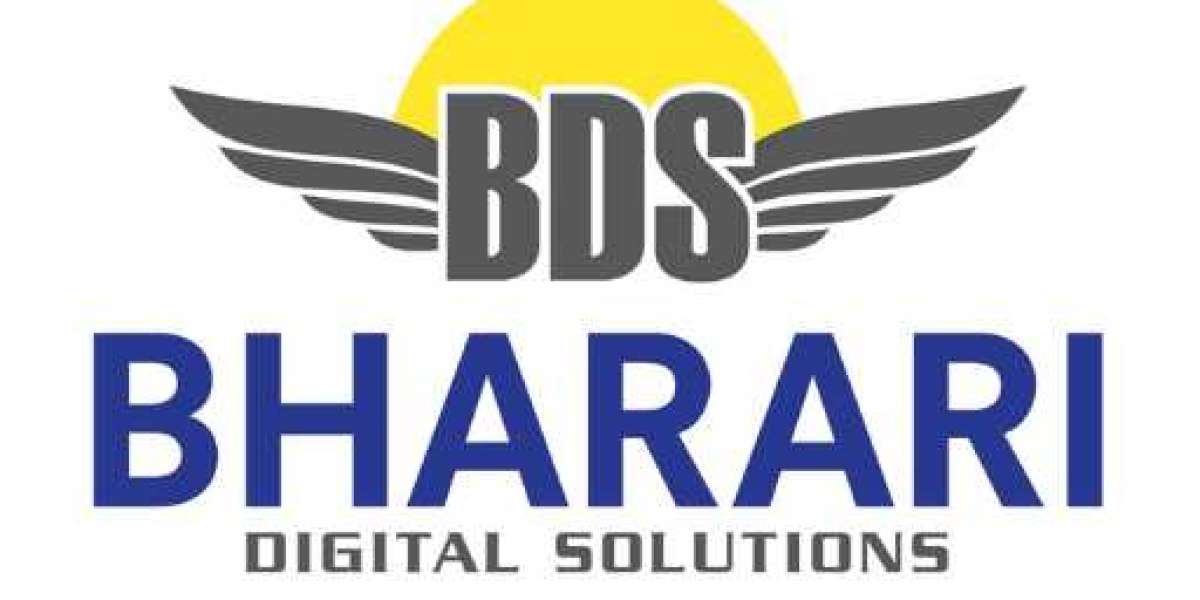 Accurate Medical Record Summarization Services by BDS