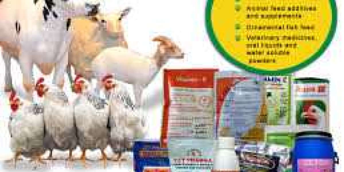 A Comprehensive Guide to Veterinary Products
