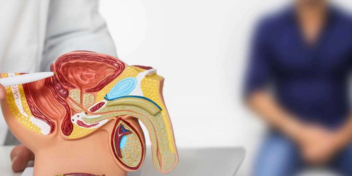 Top Natural Ways to Support Men’s Reproductive Health