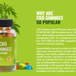PlantaRXCBDCubeGummies