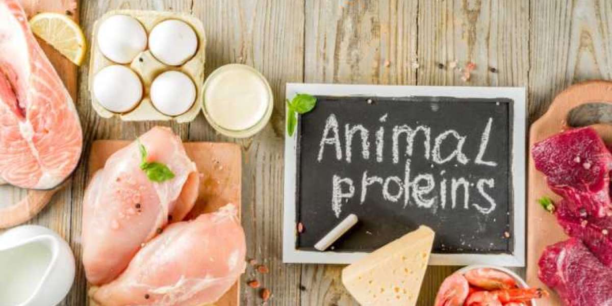 Australia Animal Protein Market size, Growth And Forecast 2025-2034