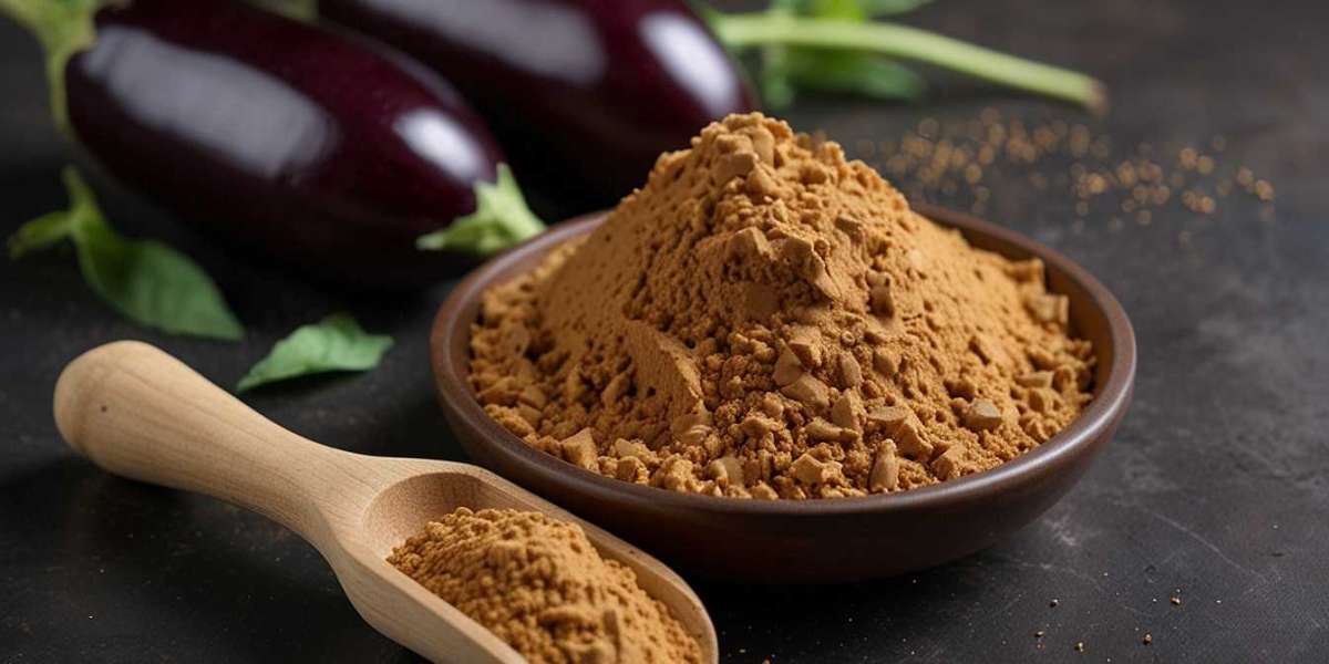 Eggplant Powder Manufacturing Plant Setup: Step-by-Step Business Plan and Machinery Cost