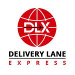 DLX Press