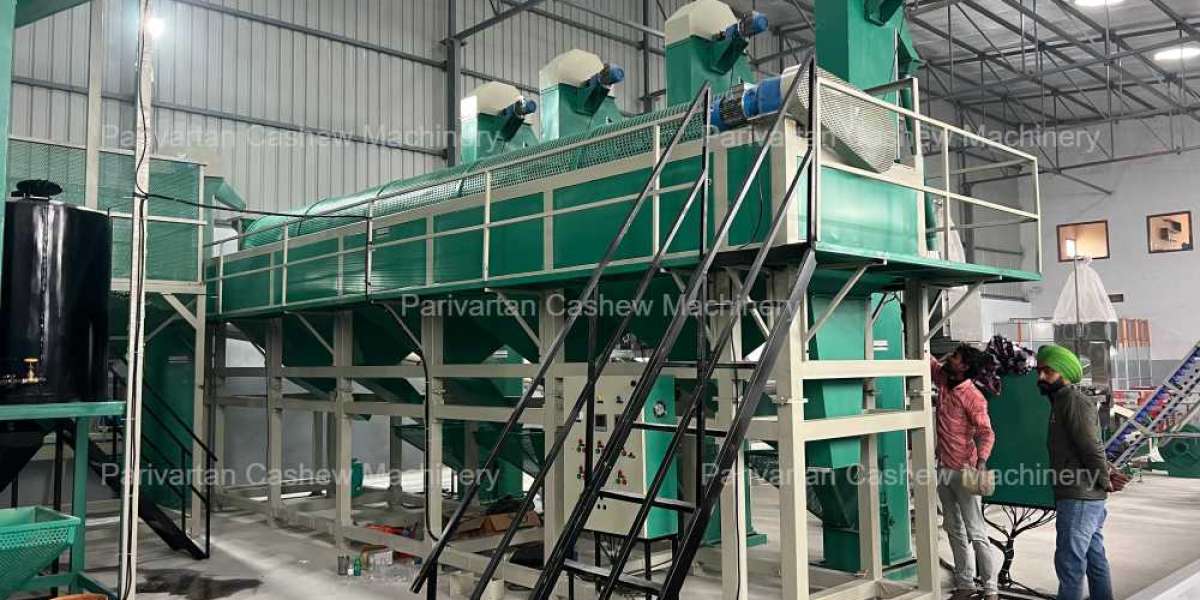 Boost Your Production with High-Performance Cashew Nut Processing Machine