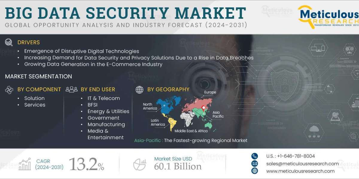 Big Data Security Market: Trends, Challenges, and Future Growth Opportunities
