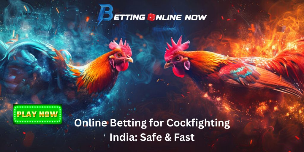Online Betting for Cockfighting India: Safe & Fast