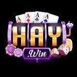 HAYWIN Hay win