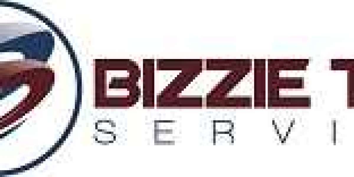Improve Your Bottom Line with Bizzietech Services