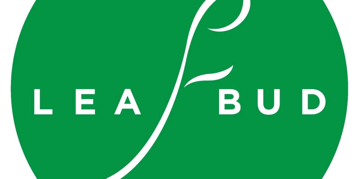 Top Unique Handmade Creations at Leafbud Online