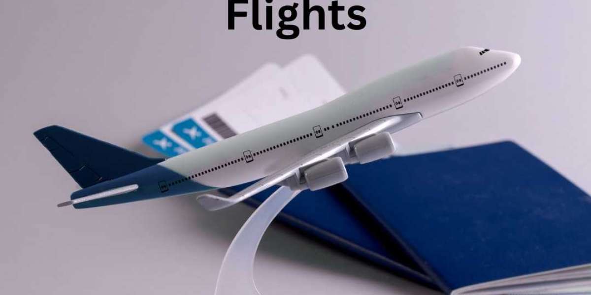 Which Airlines Offer the Best Los Angeles To Hyderabad Flights?