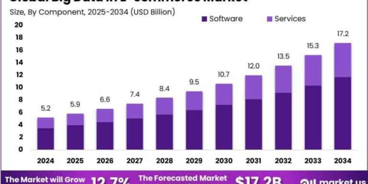 Big Data in E-commerce Market size is expected to be worth around USD 17.2 Billion